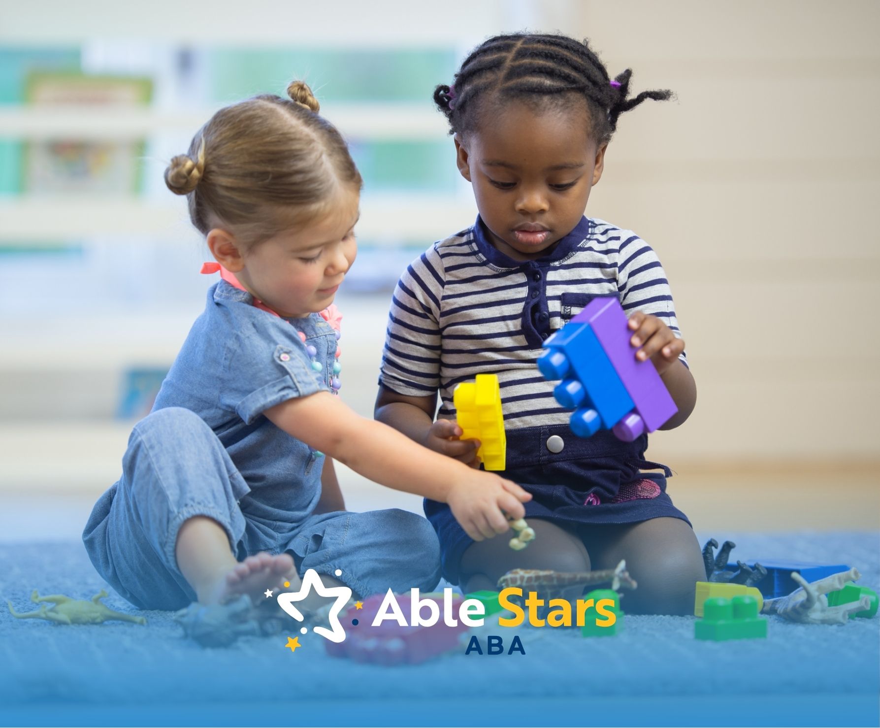 what are the three basic principles of aba