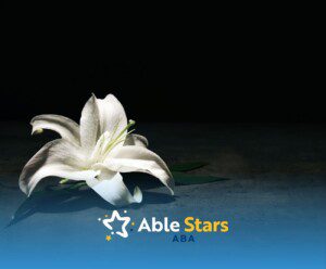 White lily on a dark background, conveying elegance and tranquility.